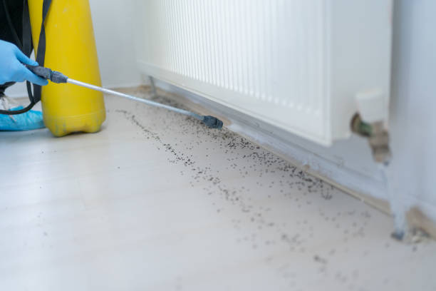 Best Bed Bug Extermination  in Willoughby Hills, OH