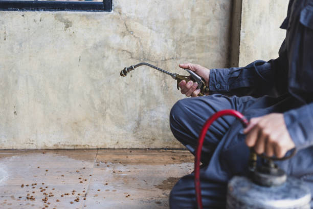 Best Best Pest Control Companies  in Willoughby Hills, OH